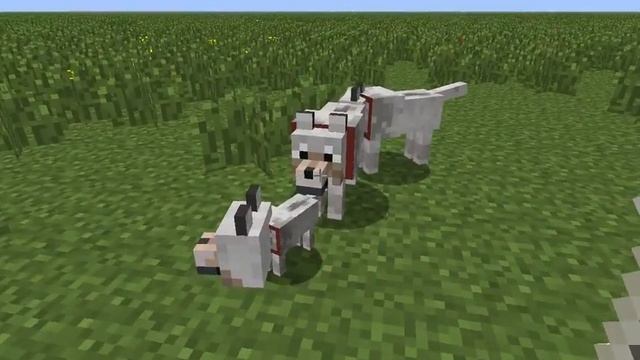 Как спаривать собак в Minecraft смотреть онлайн