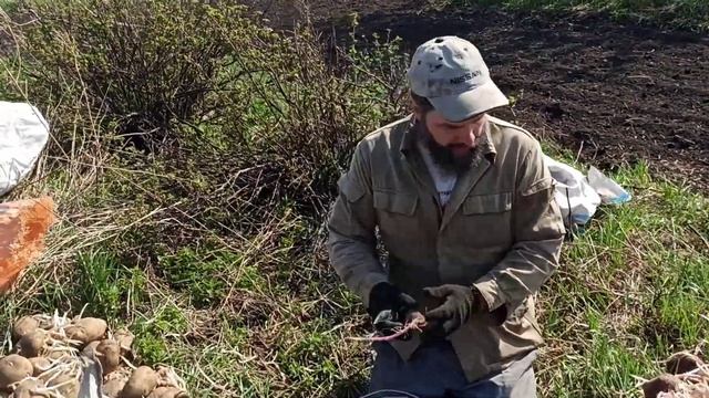 С мужиками засадили наши поля картошкой. Показываю сорта картошки и наш традиционный способ посадки смотреть онлайн