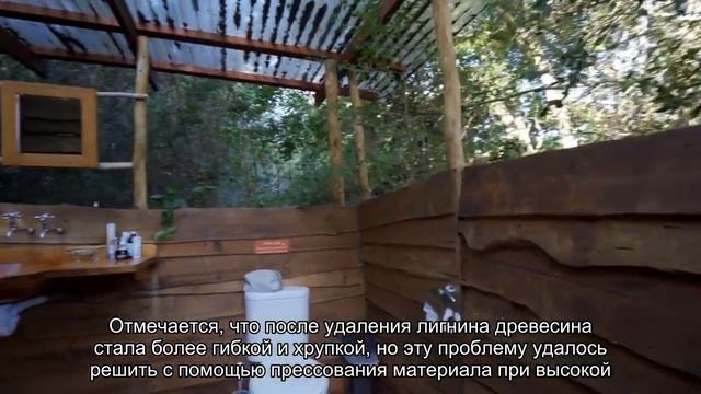 Ученые создали острейший нож из дерева смотреть онлайн