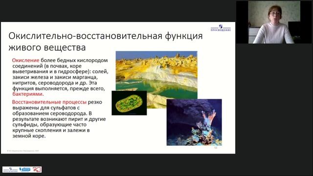 Онлайн-урок. 9 класс. Биосфера - живая оболочка Земли. Структура и закономерности смотреть онлайн