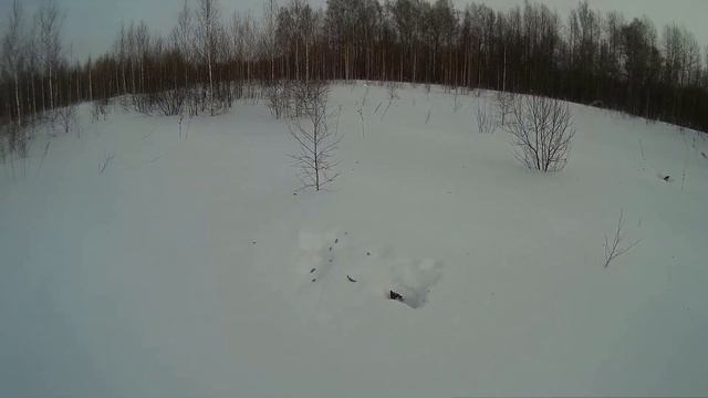 Охота на косача на лунках в Сибири. смотреть онлайн