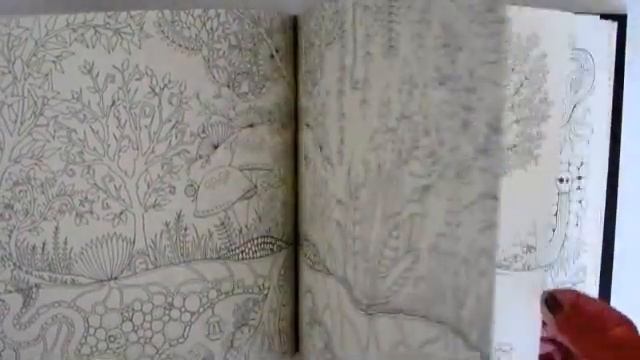 Flip Through Enchanted Forest Coloring Book by Johanna Basford смотреть онлайн