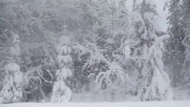 Удмуртия. Дорога из Шаркана в Дебёсы смотреть онлайн