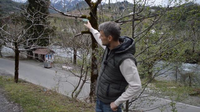 УЧАСТОК МЕЧТА НА РЕКЕ | ПЕРЕЕЗД В ГРУЗИЮ | НЕДВИЖИМОСТЬ В ГРУЗИИ #Батуми #Грузия смотреть онлайн