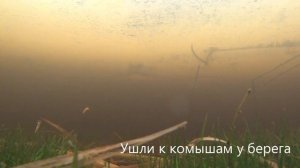 Зимняя рыбалка в Нижней Шальдихе