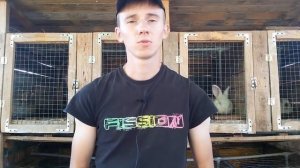 Сколько нужно клеток кроликам