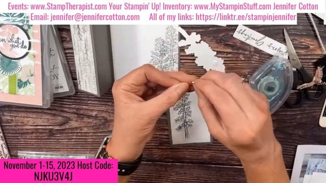 Free Card Class: Stampin' Up!'s Horse & Sleigh Bundle смотреть онлайн