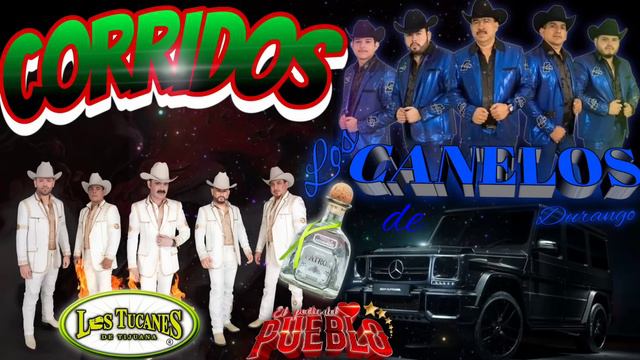 Mix De Corridos Perrones✴️✴️Los Tucanes 🆚Los Canelos смотреть онлайн
