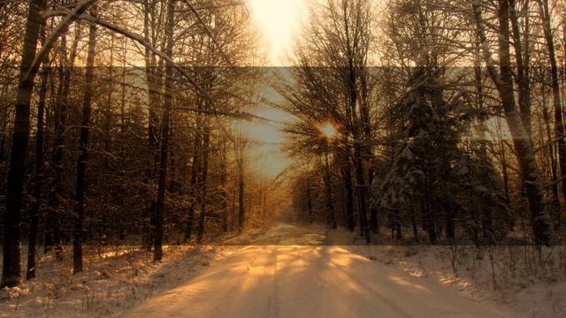 ?04.11.2022. Смешные цитаты, афоризмы и высказывания? смотреть онлайн