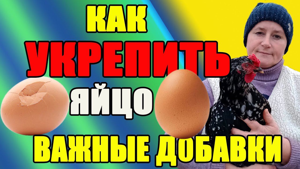 Как УКРЕПИТЬ куриное яйцо. Важные добавки для кур. смотреть онлайн