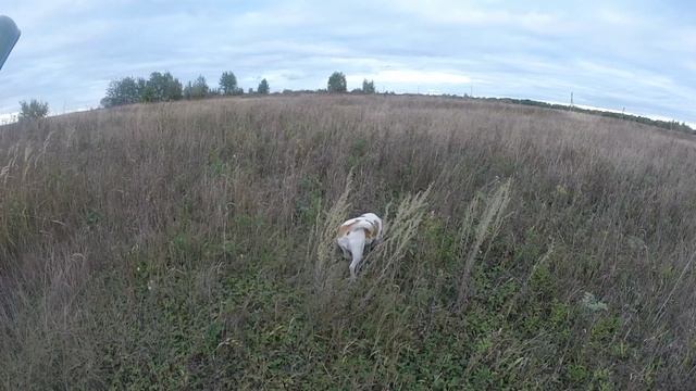 GOPR0375.MP4 смотреть онлайн