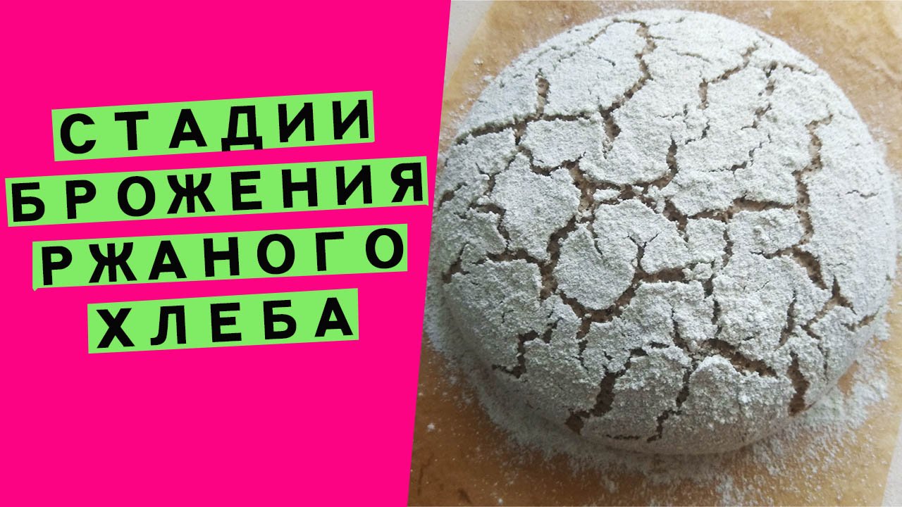 Стадии брожения ржаного теста: как понять, что тесто на закваске расстоялось и готово к выпечке смотреть онлайн