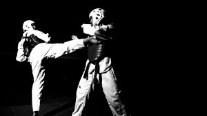 Боевые искусства мира. Тхэквондо