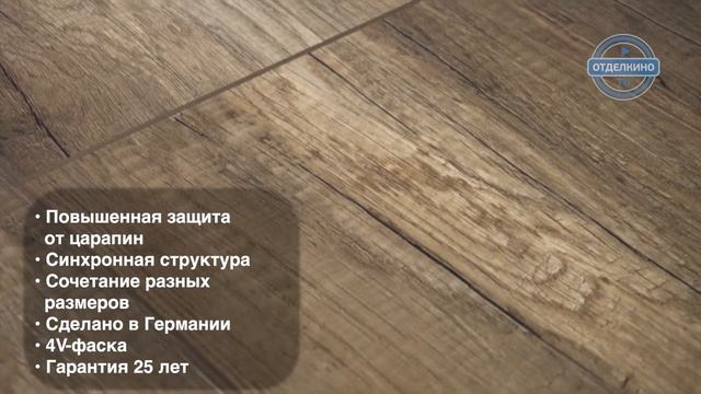 CLASSEN ARTEO ДУБ РОДЭЛЛАР смотреть онлайн