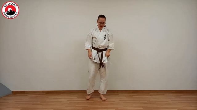 Karatė mankšta Nr. 21 (Agnė L.) смотреть онлайн
