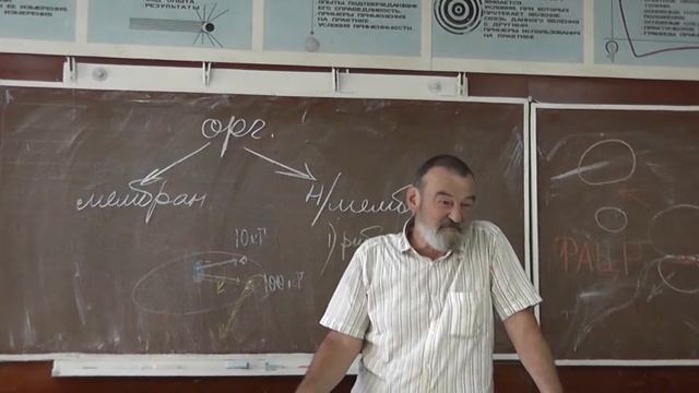 62 Эукариотические клетки. Немембранные органоиды смотреть онлайн