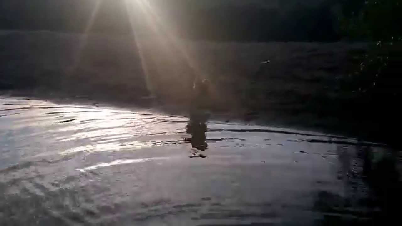 К речному пароходству его что ли приписать? смотреть онлайн