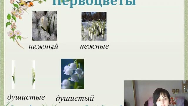 Урок 12: "Изменение имени прилагательного по числам" смотреть онлайн