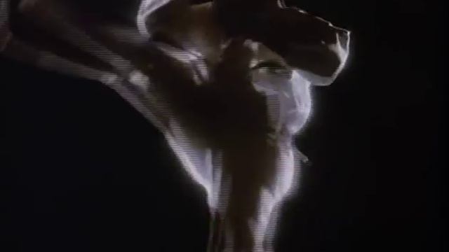 Karate Kid 2 Trailer HD смотреть онлайн