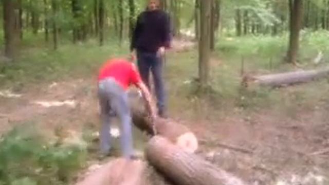 заготовка древесины в лесу смотреть онлайн