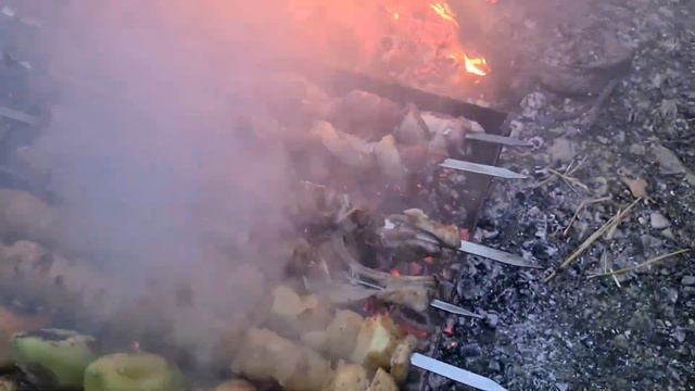 Охота на перепела в КЧР. смотреть онлайн