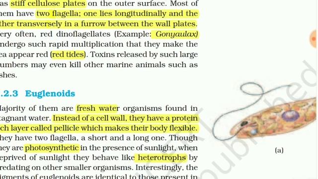 NCERT Chapter 2 Biological Classification Class 11 Quick Revision Series for NEET by Beatsforbiolog смотреть онлайн