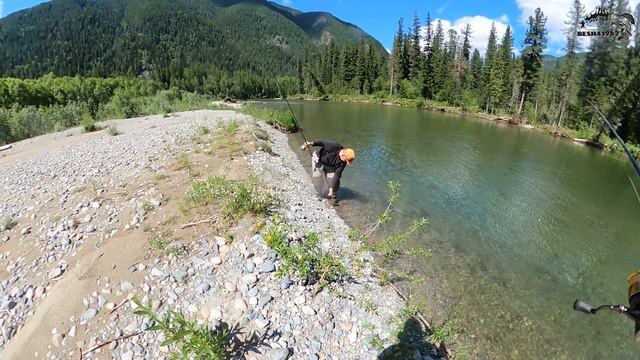 Лучшая рыбалка - горная рыбалка/Трофейный ленок и много хариуса/Пилим залом и жарим блины #4 смотреть онлайн