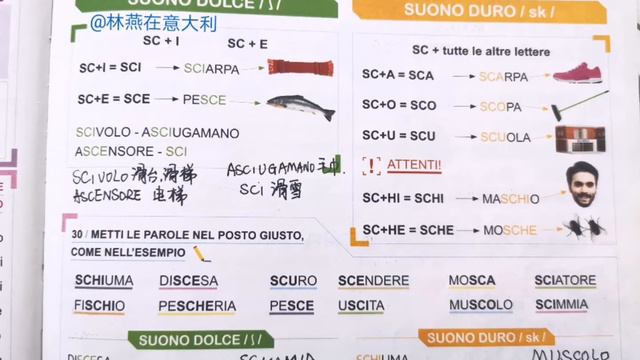 Unita` 4 Il suono SC ,SC的发音 初级意大利语中意双语字幕 #Il nuovo facile facile A1 , Italiano∼Cinese смотреть онлайн