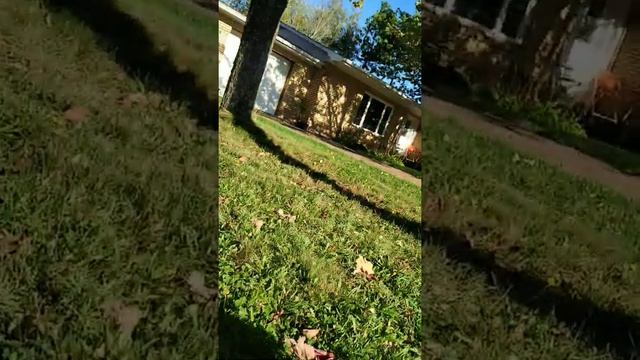 4-leaf clover hunting tutorial. смотреть онлайн