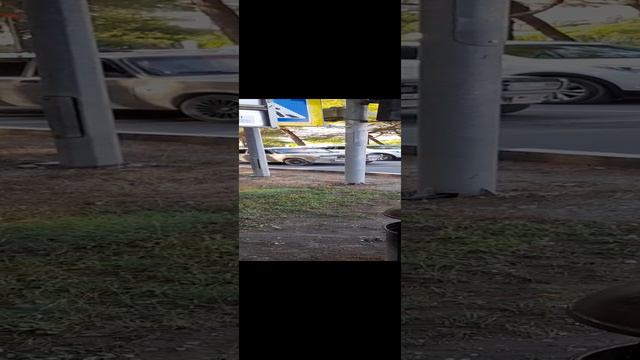 главное музон есть! смотреть онлайн