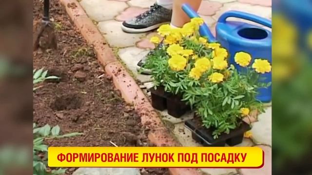 Извлекатель сорняков Торнадо смотреть онлайн