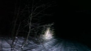 ПОИСК РЕЙКА : где-то рядом