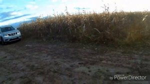 Ниссан  x-trail передний привод по бездорожью