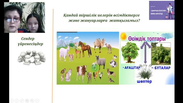 Тірі планета смотреть онлайн