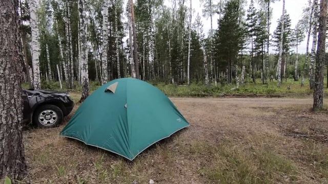 Рыбалка на лесном озере. КРУПНЫЕ ОКУНИ по 450 ГРАММ. Шашлык из окуней. Полёт на дроне DJI Maviс Pro смотреть онлайн