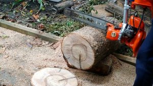 БЕНЗОПИЛА ДРУЖБА 4М ЭЛЕКТРОН ПИЛИМ БРЁВНА #дружба4