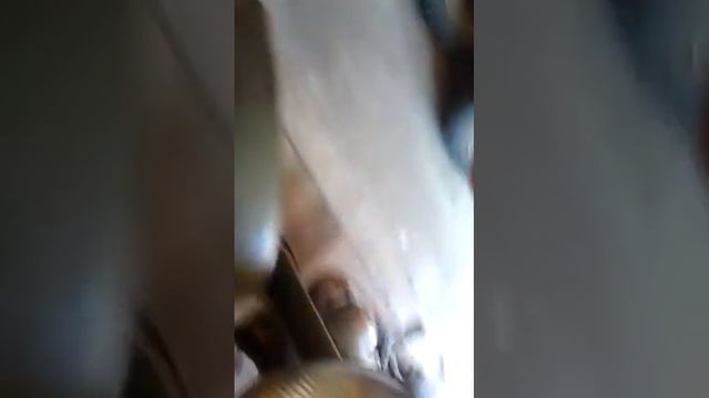 iž 49 startup смотреть онлайн