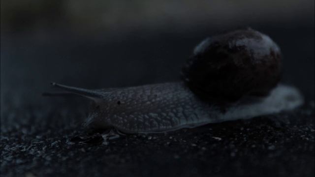 My Photography 2012, taken with the Canon EOS 1100D/ T3 using a 18-55 mm kit lens смотреть онлайн