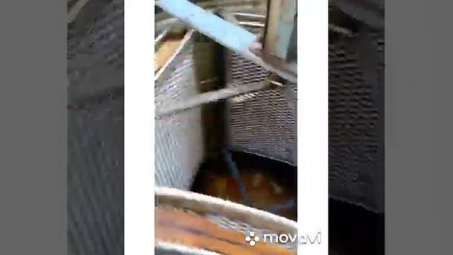 Первая качка мёда 2020 смотреть онлайн