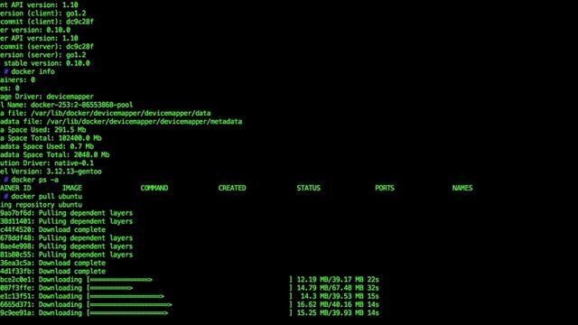 Installation von docker.io 0.10 unter Gentoo Linux смотреть онлайн