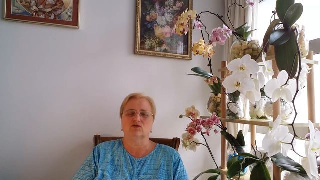 ДОМ для ПРЕСТАРЕЛЫХ, ДЕРЕВНЯ для ПРЕСТАРЕЛЫХ в НОВОЙ ЗЕЛАНДИИ. смотреть онлайн