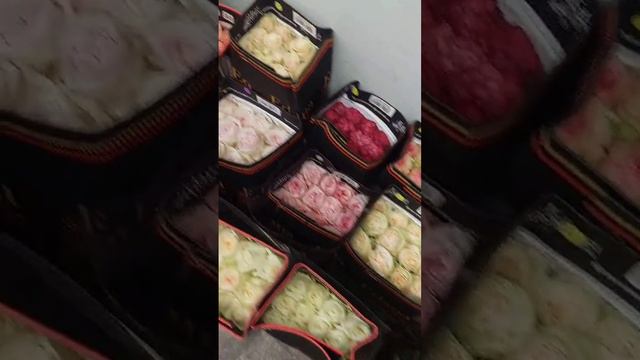 Свежесрезанные розы (Эквадор)