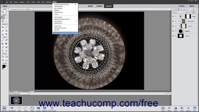Learn How to Use Online Updates in Adobe Photoshop Elements 2023: A Training Tutorial смотреть онлайн