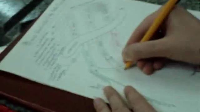 Анатомия (плечевое сплетение)plexus Brachialis