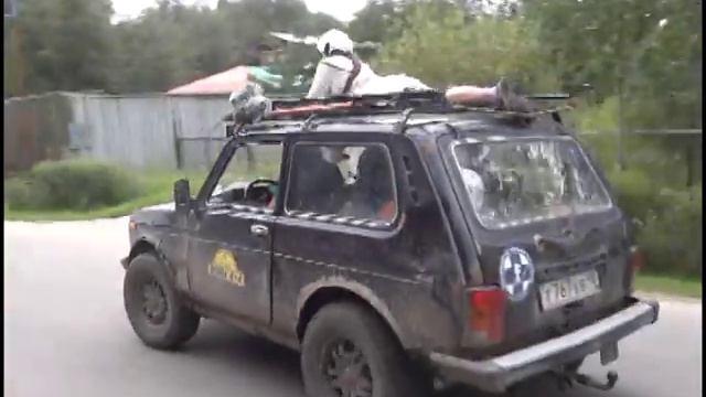 Лосево (Автор: Дмитрий Яцук)