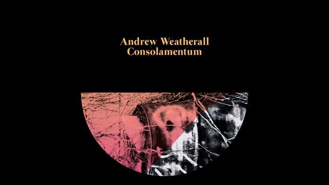 Andrew Weatherall - Frankfurt Advice (Heretic Remix) смотреть онлайн