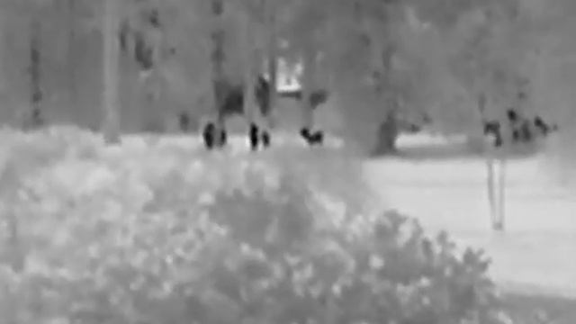 ATN--OTS-XLT..10x Home Test смотреть онлайн