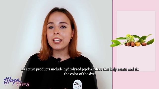 Thuya Tips: advantatges of Color & Shape fixer смотреть онлайн