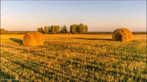 Рассказ из книги "Четыре художника". " Осень" Г. Скребицкий