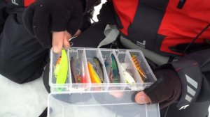 RybalkaShop-Нереальный клев зимнего судака в Камском Устье